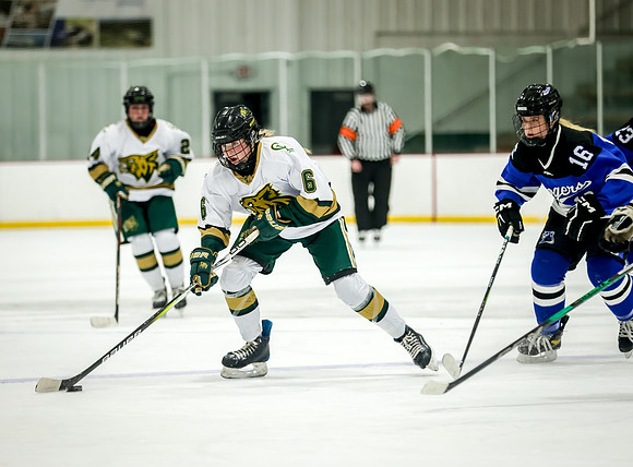 Chisago vs Rogers JV Hockey 244