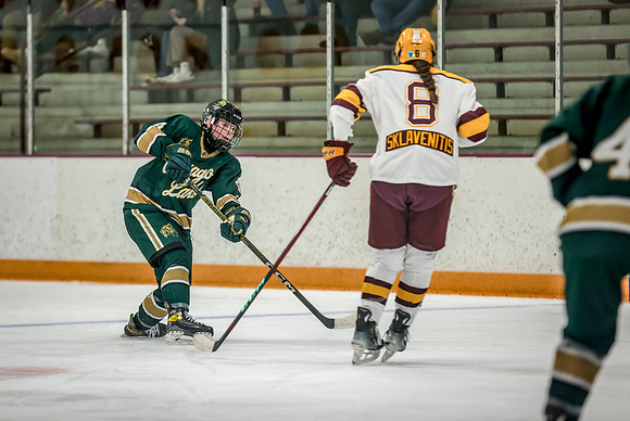 Chisago vs Forest Lake Varsity Hockey 297