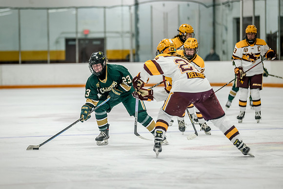 Chisago vs Forest Lake Varsity Hockey 289