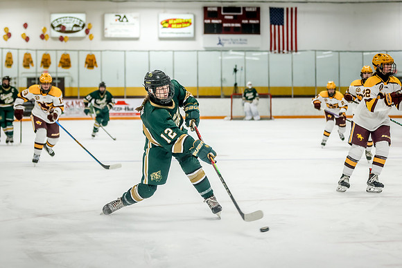 Chisago vs Forest Lake Varsity Hockey 326