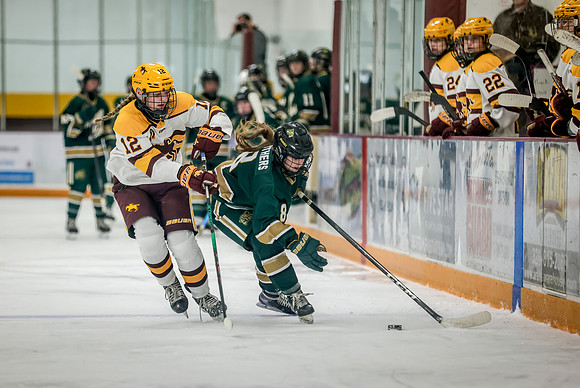 Chisago vs Forest Lake Varsity Hockey 181