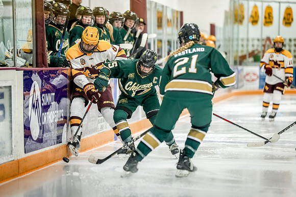 Chisago vs Forest Lake Varsity Hockey 371