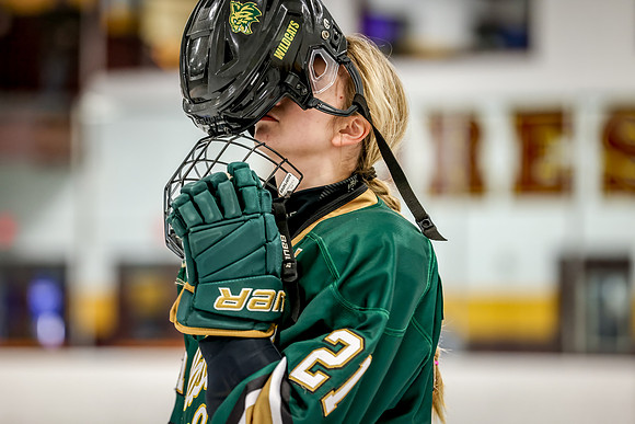 Chisago vs Forest Lake Varsity Hockey 108