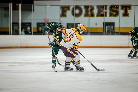 Chisago vs Forest Lake Varsity Hockey 226