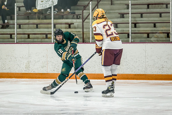 Chisago vs Forest Lake Varsity Hockey 253