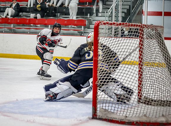 Centennial vs Holy Angels JV Hockey 87