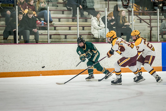 Chisago vs Forest Lake Varsity Hockey 205