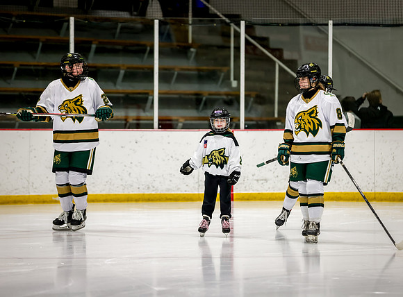 Chisago vs Rogers Varsity Hockey 56