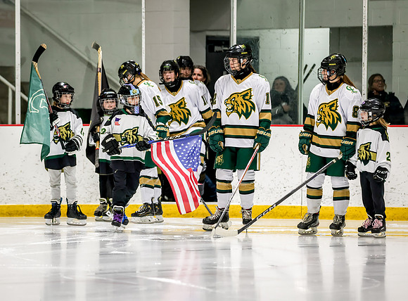 Chisago vs Rogers Varsity Hockey 66