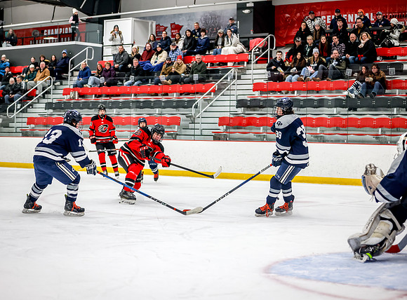 Chisago vs Rogers JV Hockey 91