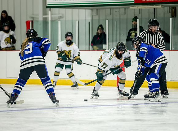 Chisago vs Rogers JV Hockey 346