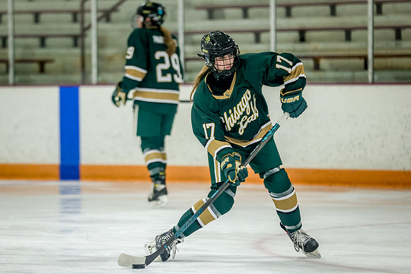 Chisago vs Forest Lake JV Hockey 31