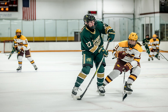 Chisago vs Forest Lake JV Hockey 154