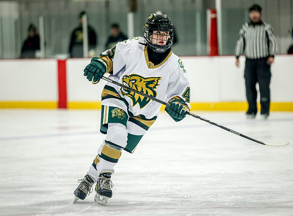 Chisago vs Rogers JV Hockey 355