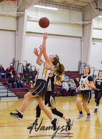 Forest Lake Girls 7 Maroon Basketball 051