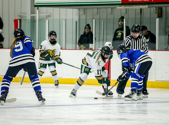 Chisago vs Rogers JV Hockey 344