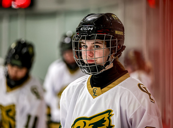 Chisago vs Rogers Varsity Hockey 21