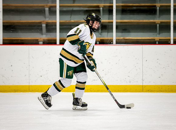 Chisago vs Rogers Varsity Hockey 2