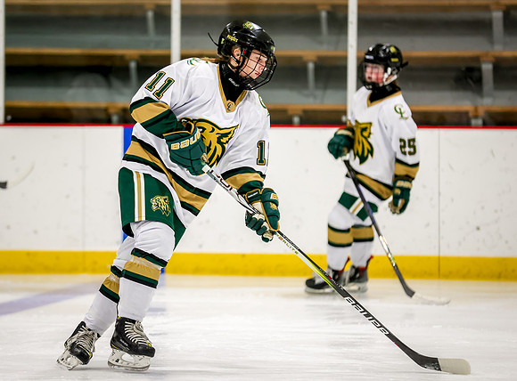 Chisago vs Rogers JV Hockey 53