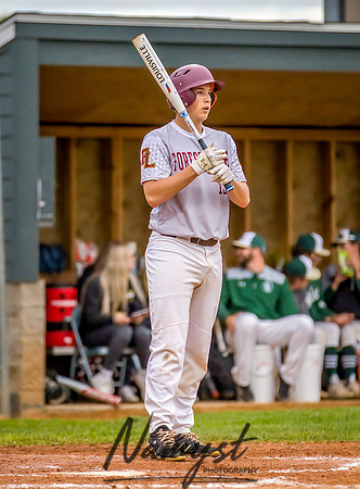 Forest Lake vs Chisago Lakes Varsity Baseball (714)