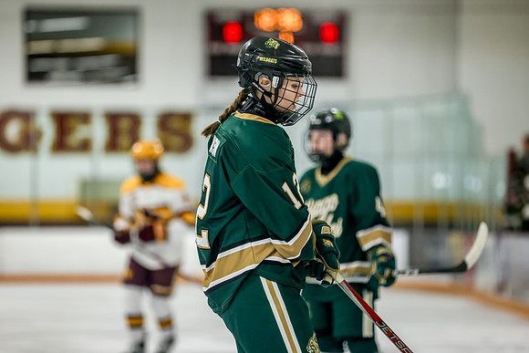 Chisago vs Forest Lake Varsity Hockey 154