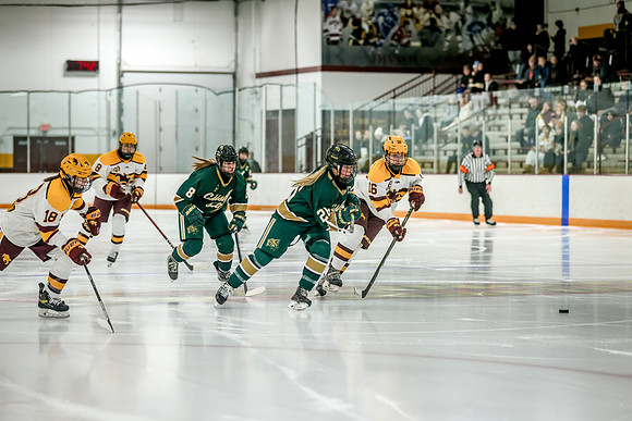 Chisago vs Forest Lake Varsity Hockey 246