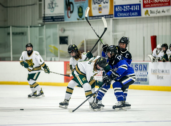Chisago vs Rogers Varsity Hockey 202