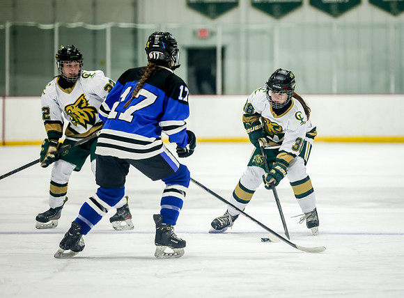 Chisago vs Rogers Varsity Hockey 317