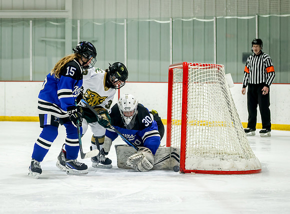 Chisago vs Rogers JV Hockey 370