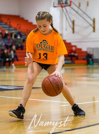 Centennial Basketball Association 127
