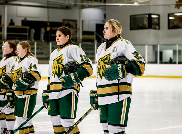 Chisago vs Rogers Varsity Hockey 94