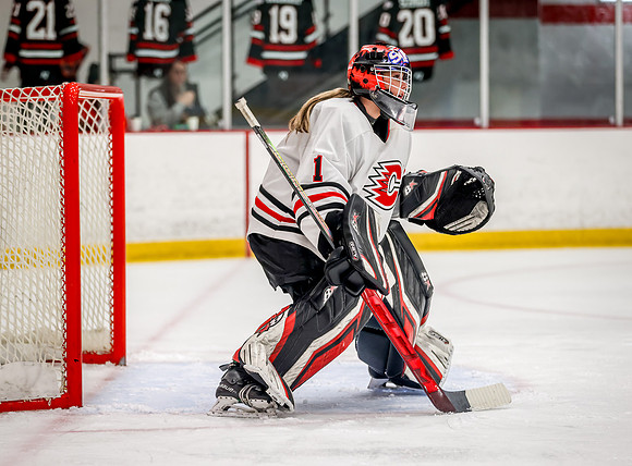 Centennial vs White Bear Lake Varsity Hockey 114