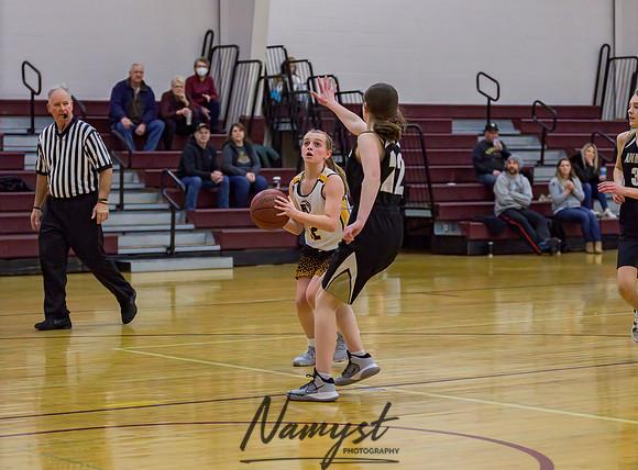 Forest Lake Girls 7 Maroon Basketball 070
