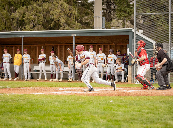 Forest Lake vs Duluth East Varsity Baseball 478
