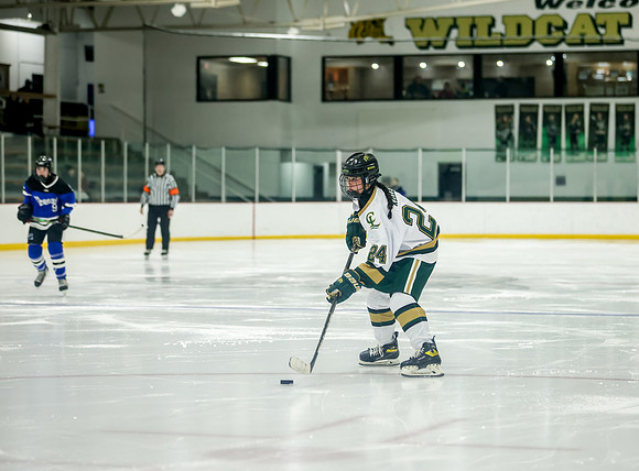 Chisago vs Rogers JV Hockey 324