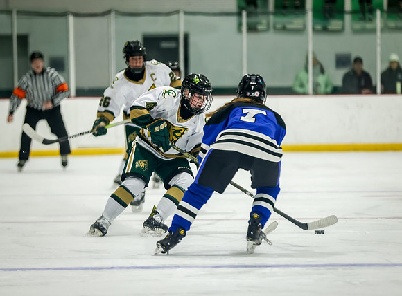 Chisago vs Rogers Varsity Hockey 204