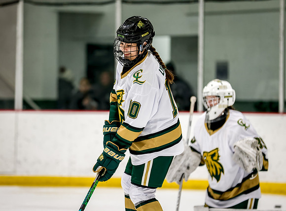 Chisago vs Rogers Varsity Hockey 9