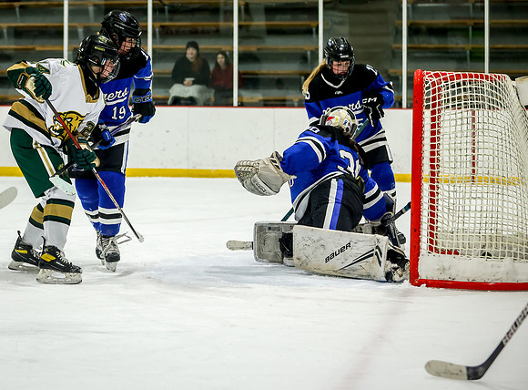 Chisago vs Rogers JV Hockey 266