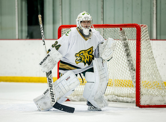 Chisago vs Rogers JV Hockey 202