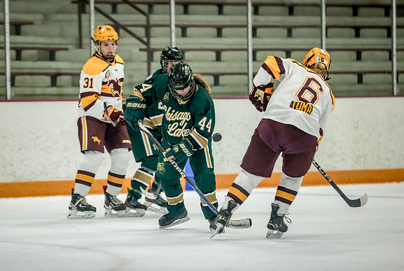 Chisago vs Forest Lake JV Hockey 102