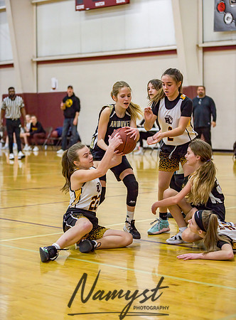 Forest Lake Girls 7 Maroon Basketball 034