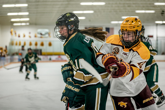 Chisago vs Forest Lake Varsity Hockey 338