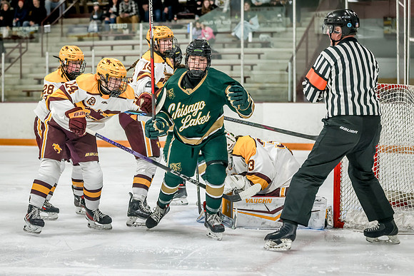 Chisago vs Forest Lake Varsity Hockey 275