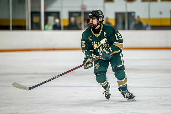 Chisago vs Forest Lake Varsity Hockey 208