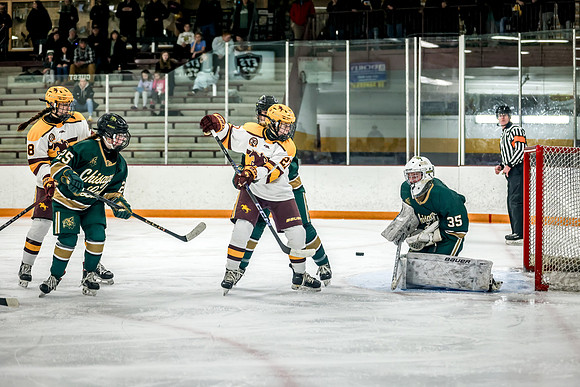 Chisago vs Forest Lake Varsity Hockey 395