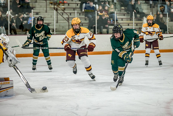 Chisago vs Forest Lake Varsity Hockey 218