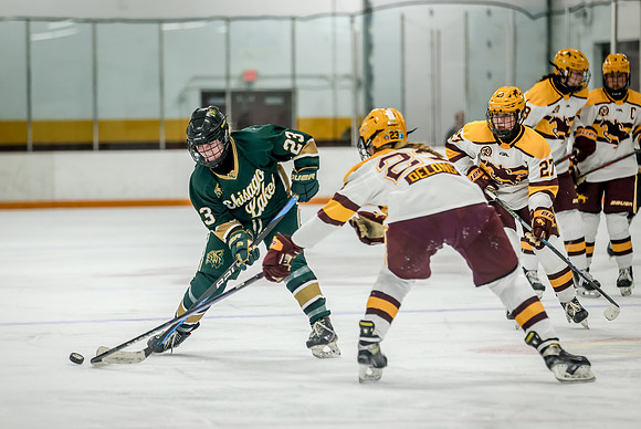 Chisago vs Forest Lake Varsity Hockey 290