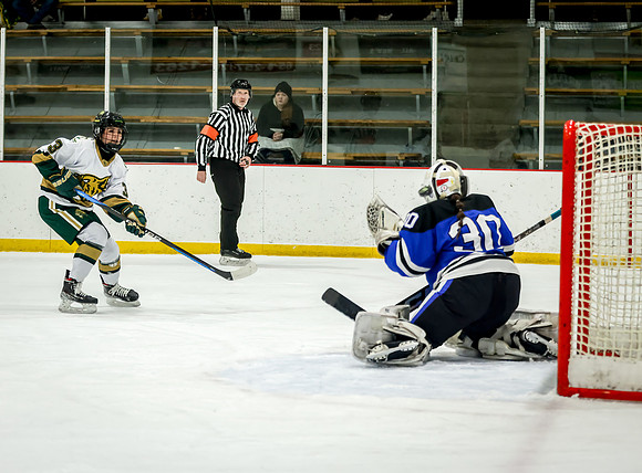 Chisago vs Rogers JV Hockey 231
