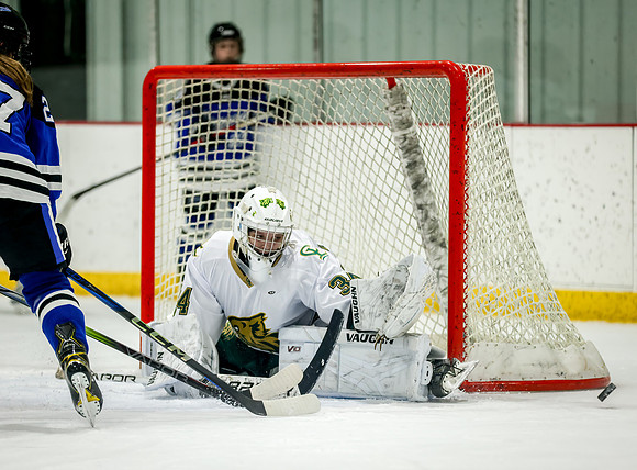 Chisago vs Rogers JV Hockey 200