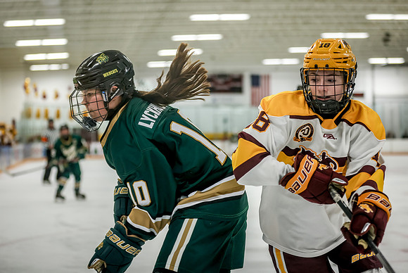 Chisago vs Forest Lake Varsity Hockey 339